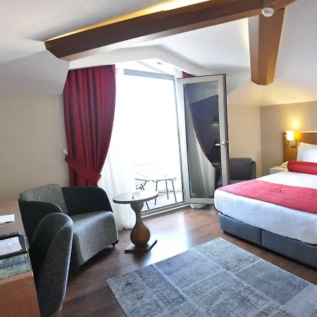 Hotel Veyron & 4*