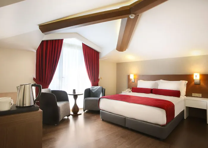 Hotel Veyron & Istambul