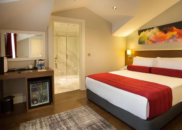 Hotel Veyron & Istambul